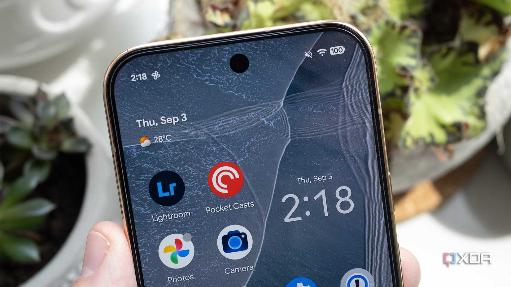The Pixel 11 Pro's front camera